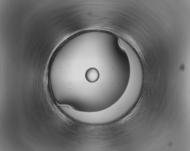 X0000116890892201001121341