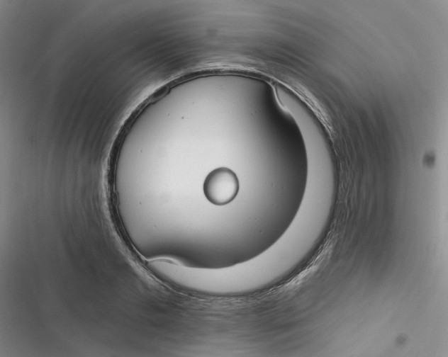 X0000116890893201001121341