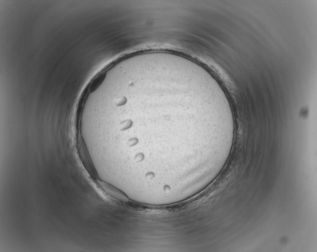 X0000116890894201001121341