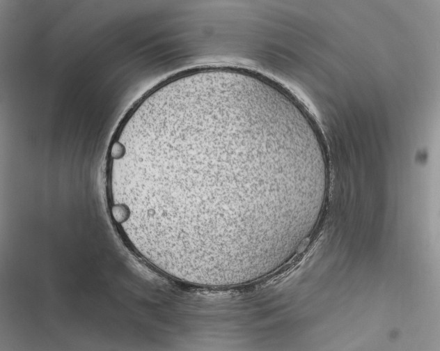 X0000116890895201001121341