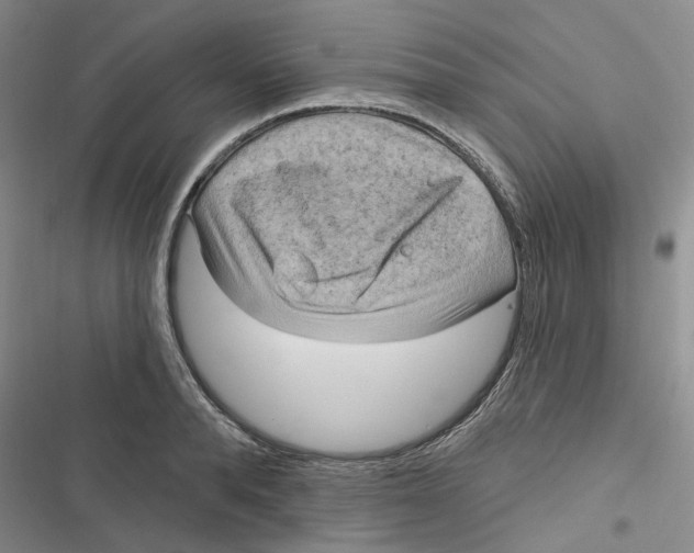 X0000116890896201001121341