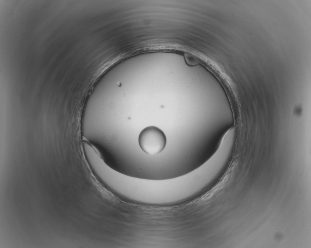 X0000116890897201001121341