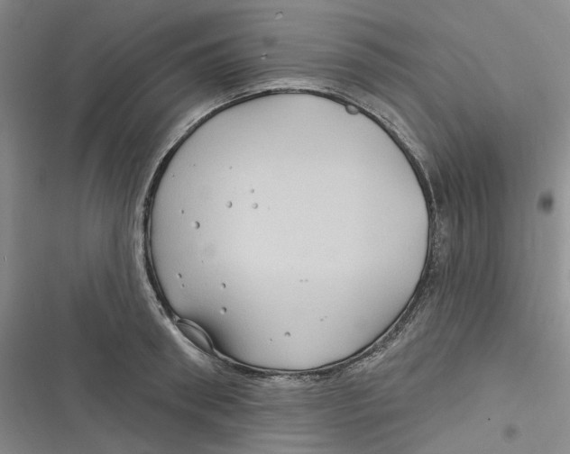 X0000116890898201001121341