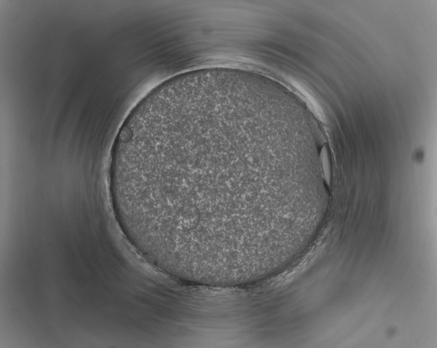 X0000116890899201001121341