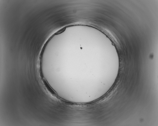 X0000116890900201001121341