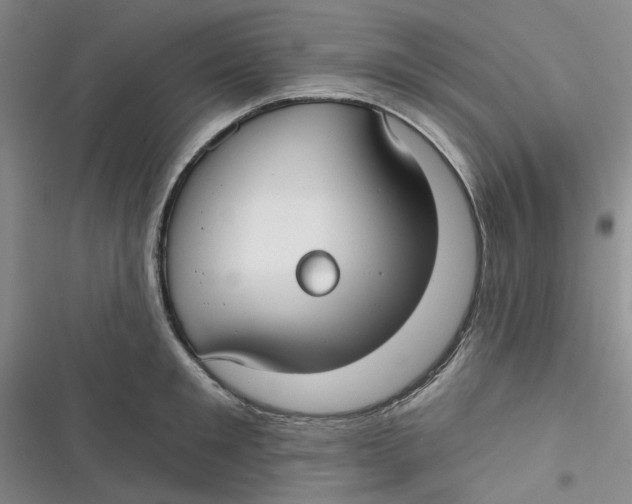 X0000116890901201001121341