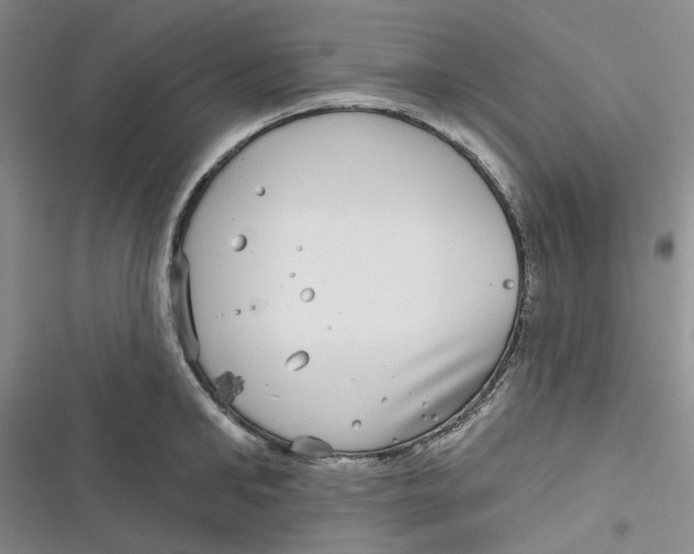 X0000116890902201001121341