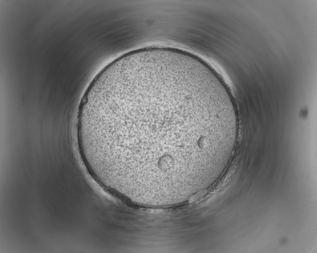 X0000116890903201001121341