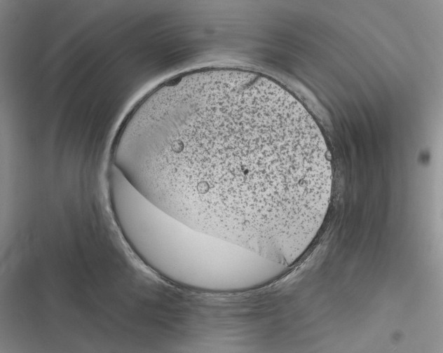 X0000116890904201001121341