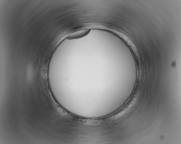 X0000116890905201001121341