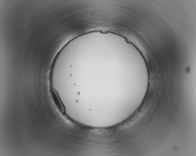 X0000116890906201001121341