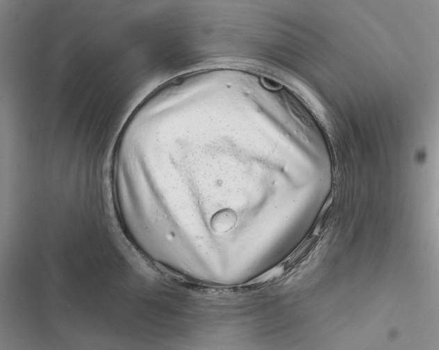 X0000116890907201001121341