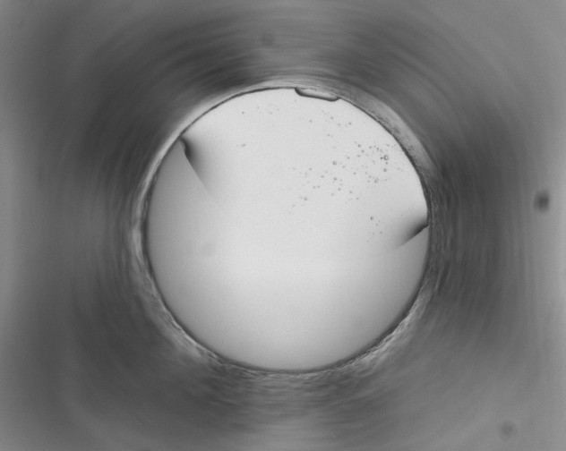 X0000116890908201001121341