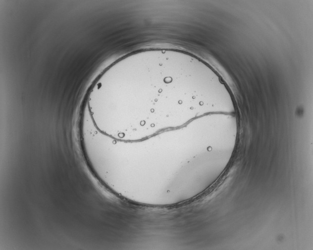 X0000116890909201001121341