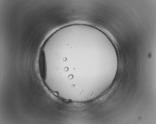 X0000116890910201001121341