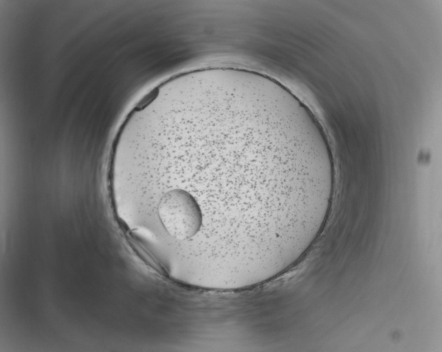 X0000116890912201001121341