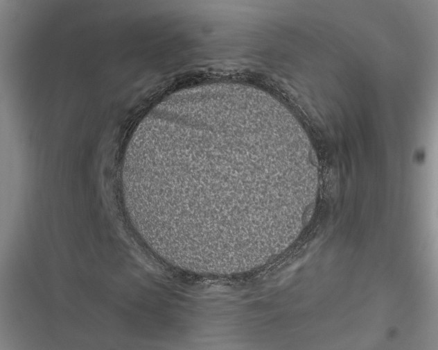 X0000116890913201001121340