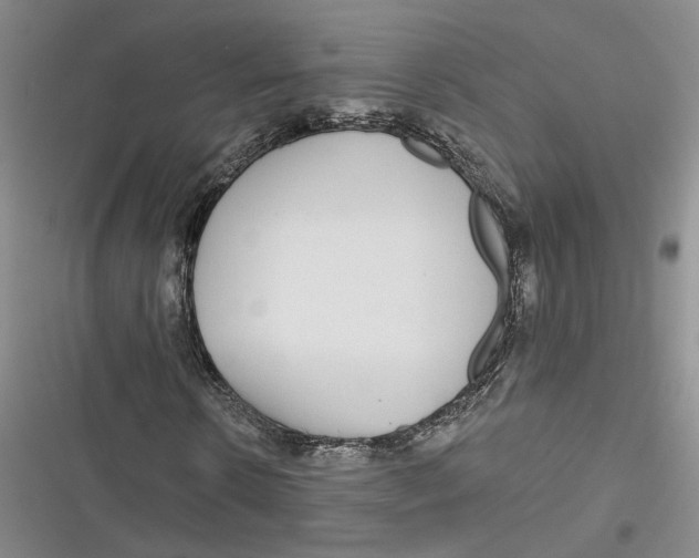 X0000116890914201001121340