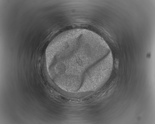 X0000116890915201001121340