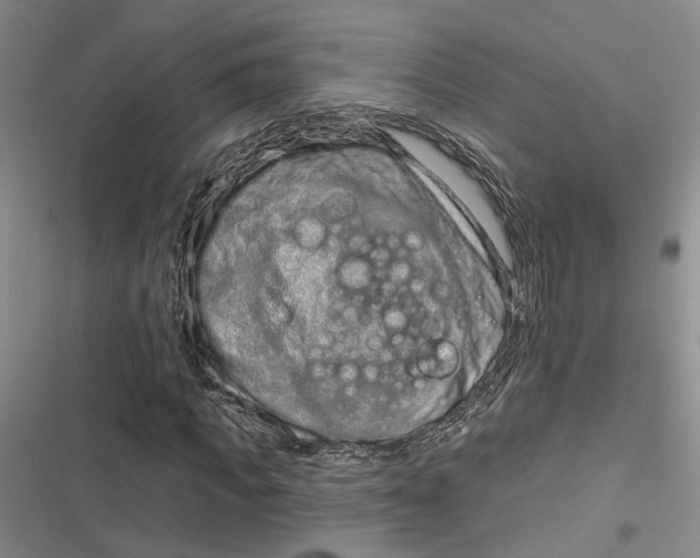 X0000116890917201001121340