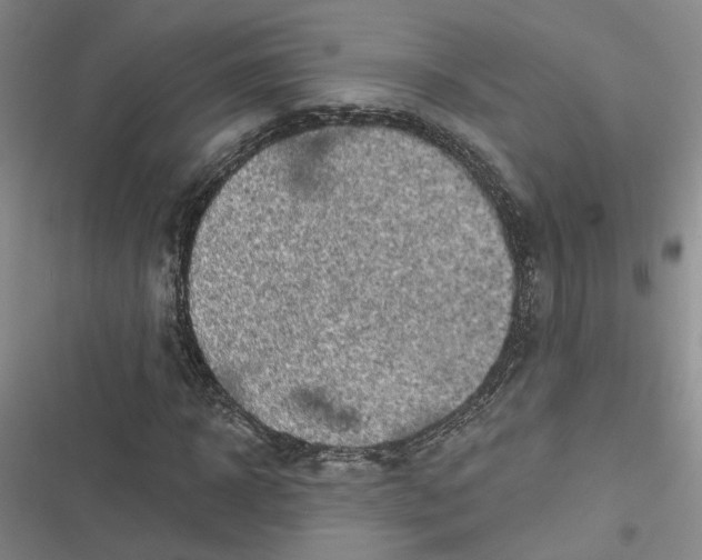 X0000116890918201001121340