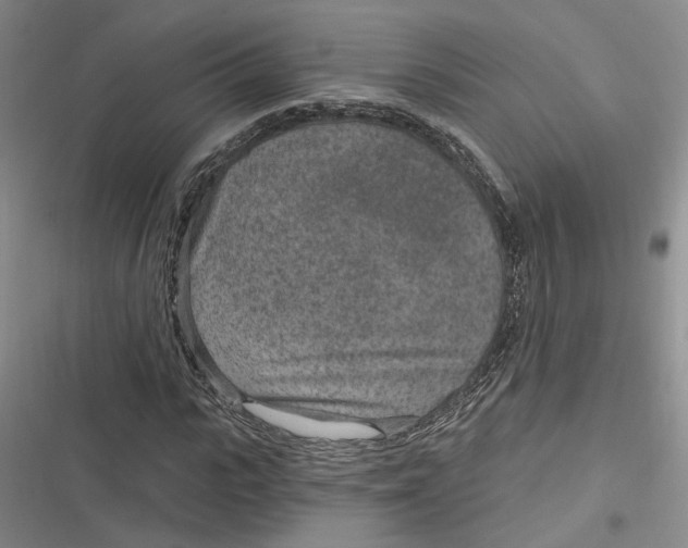 X0000116890919201001121340