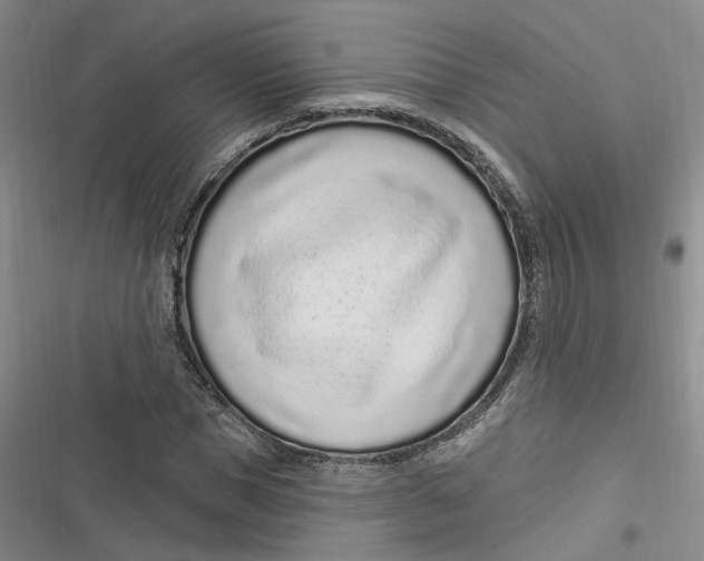 X0000116890921201001121340