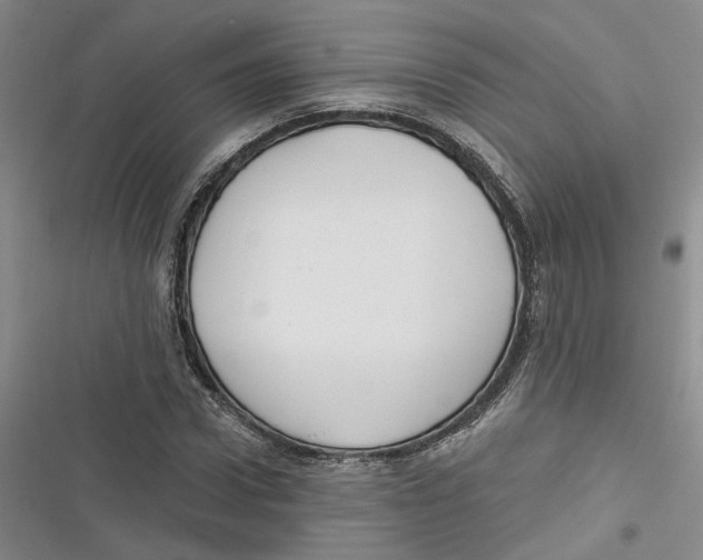 X0000116890922201001121340