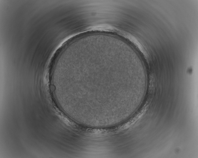 X0000116890923201001121340