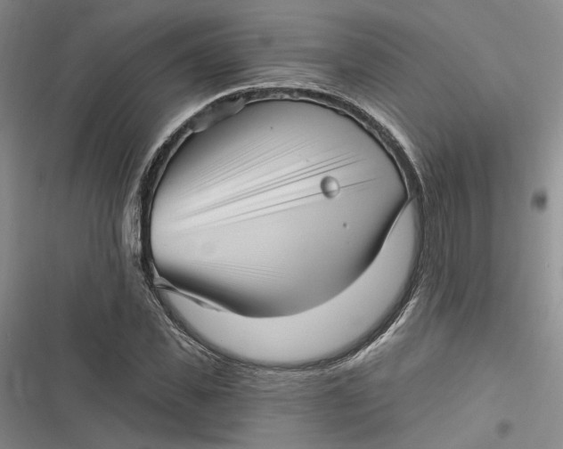 X0000116890925201001121340