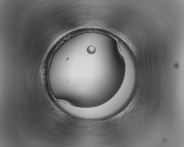 X0000116890926201001121340