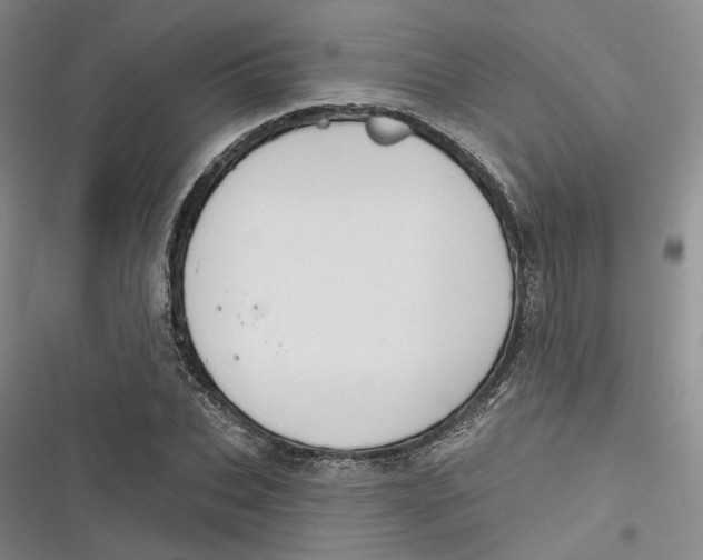 X0000116890927201001121340