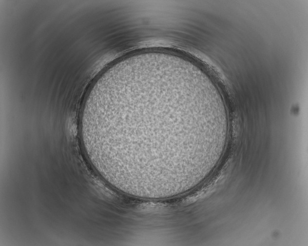 X0000116890929201001121340