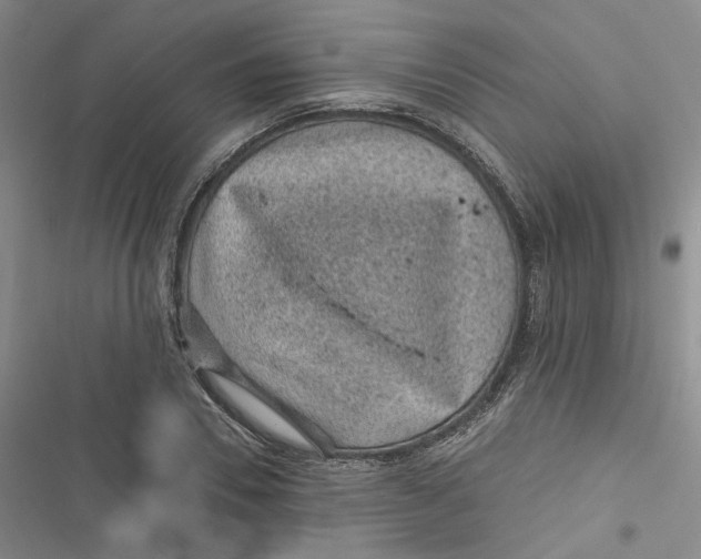 X0000116890930201001121340