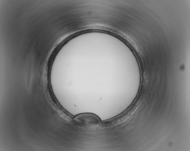 X0000116890931201001121340