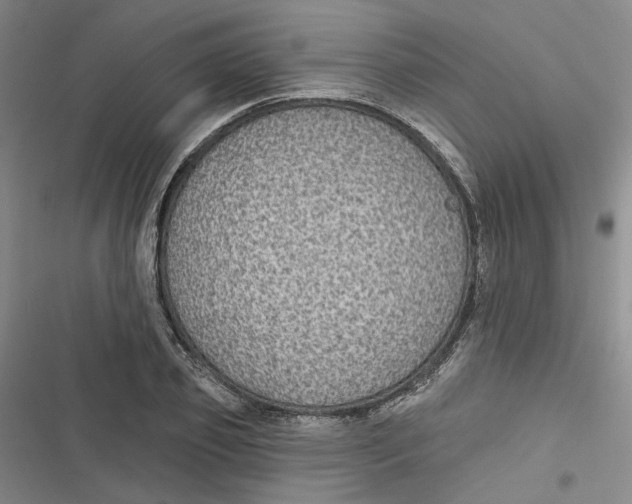 X0000116890933201001121340