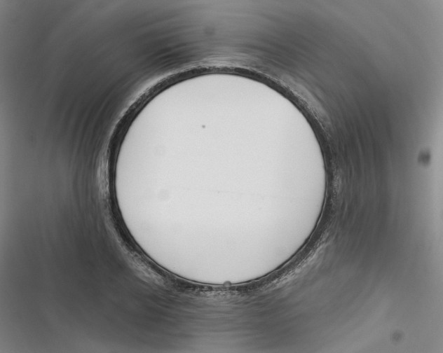 X0000116890934201001121340