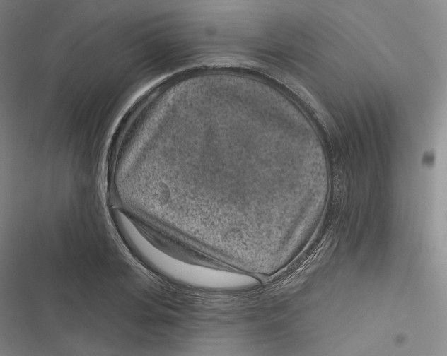 X0000116890935201001121340