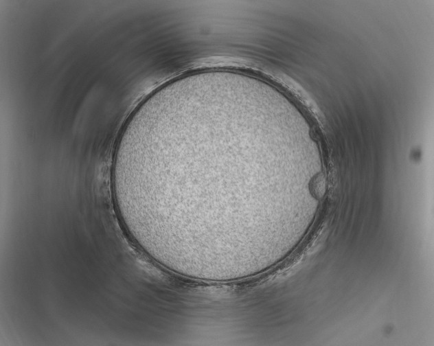 X0000116890937201001121340