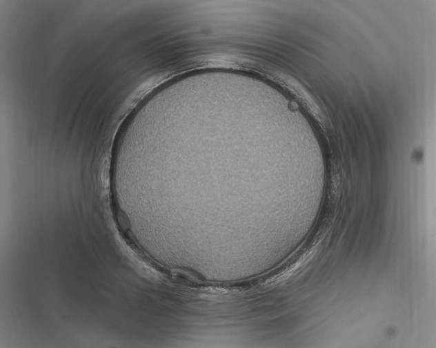 X0000116890938201001121340