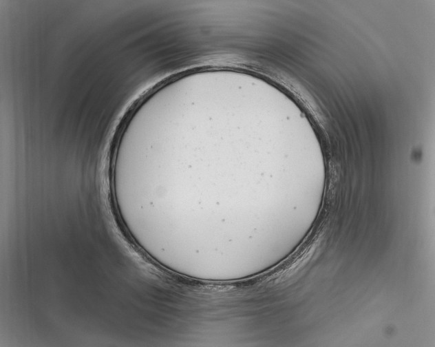 X0000116890939201001121340