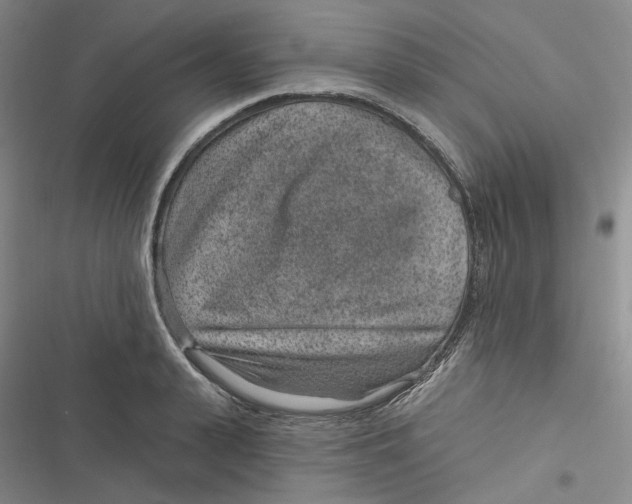 X0000116890943201001121340