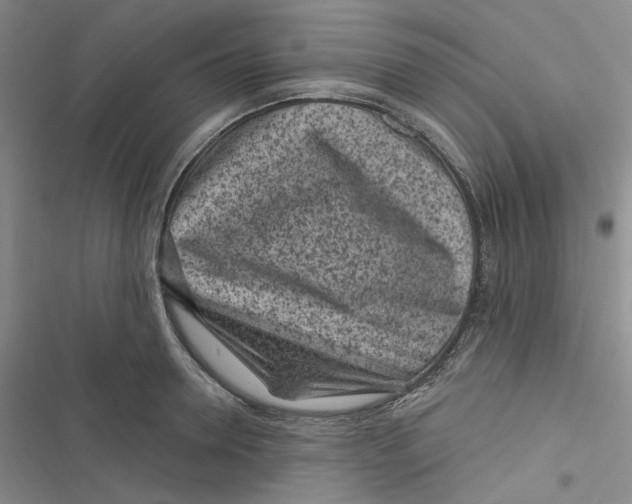 X0000116890946201001121340