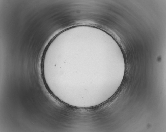 X0000116890947201001121340