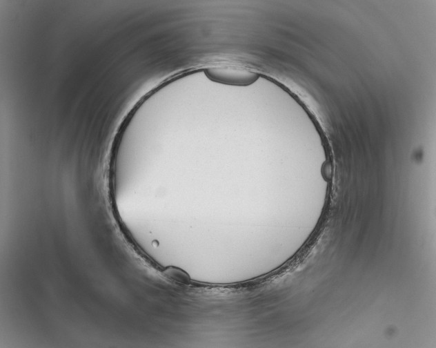 X0000116890949201001121340