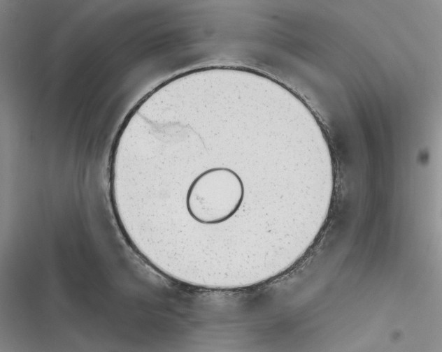 X0000116890950201001121341