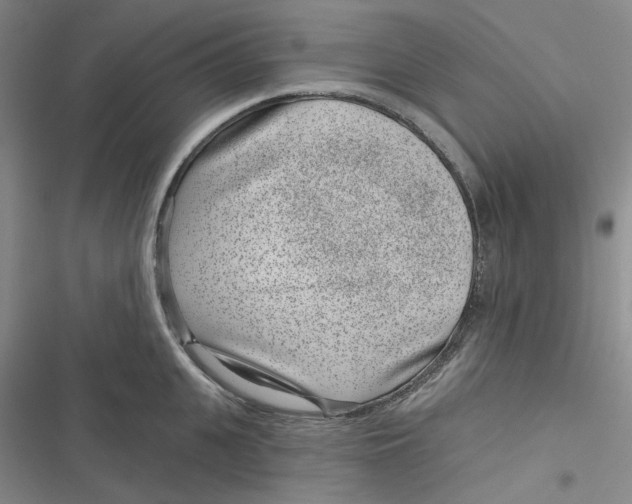 X0000116890951201001121341