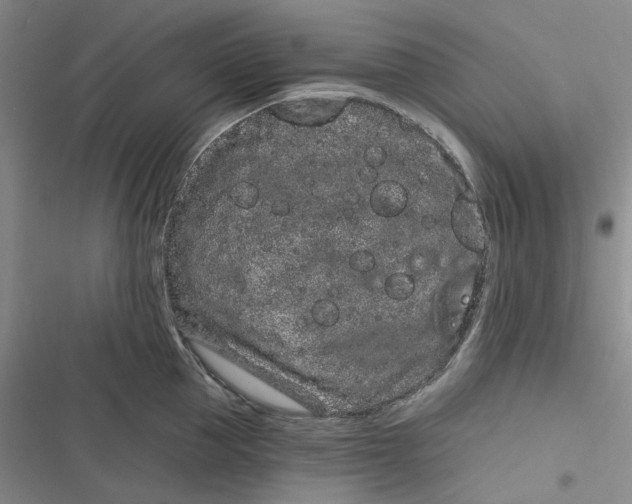 X0000116890953201001121341