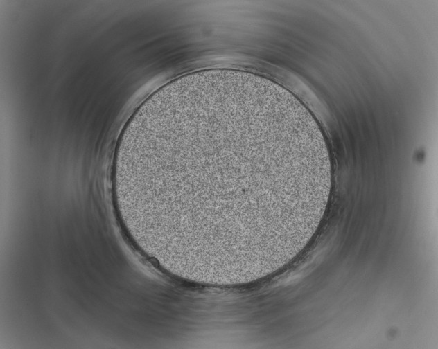 X0000116890954201001121341