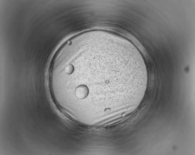 X0000116890955201001121341